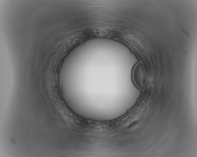 X0000115690865200911121306