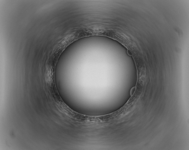 X0000115690866200911121306