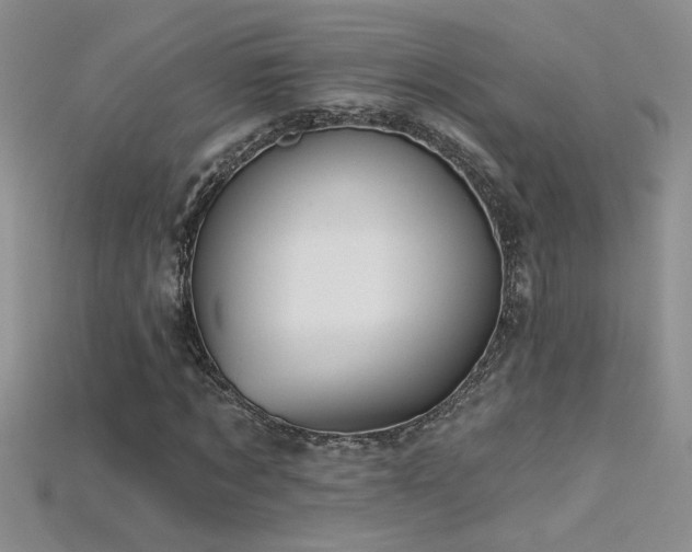 X0000115690869200911121305