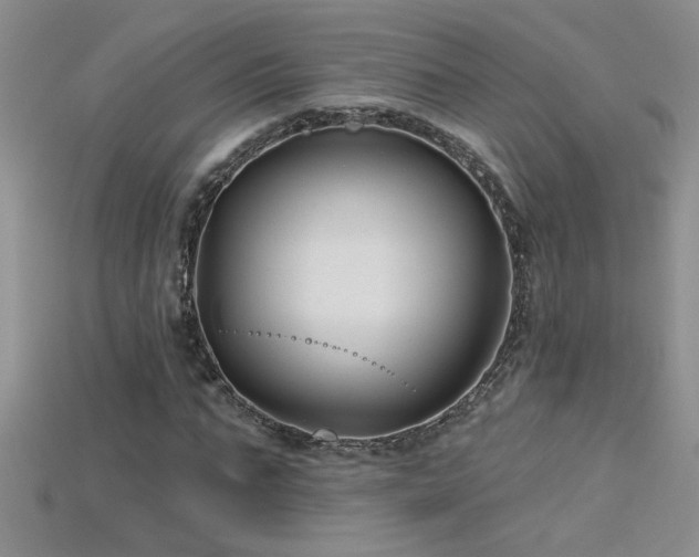 X0000115690871200911121305