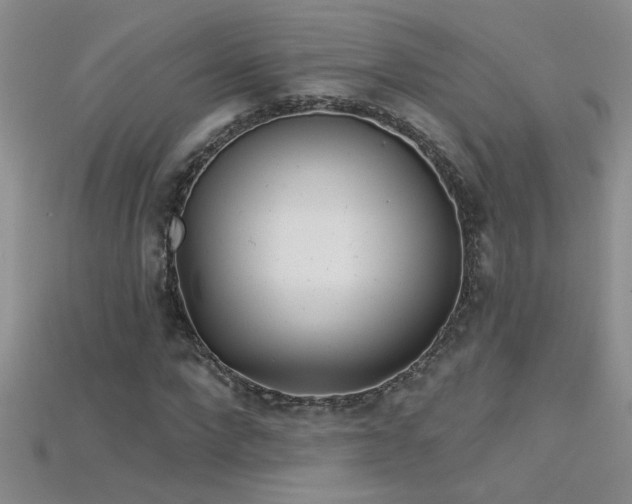 X0000115690872200911121305