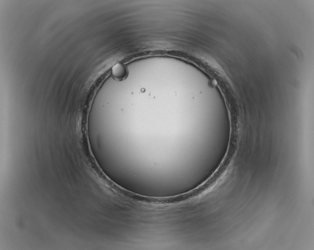 X0000115690873200911121305