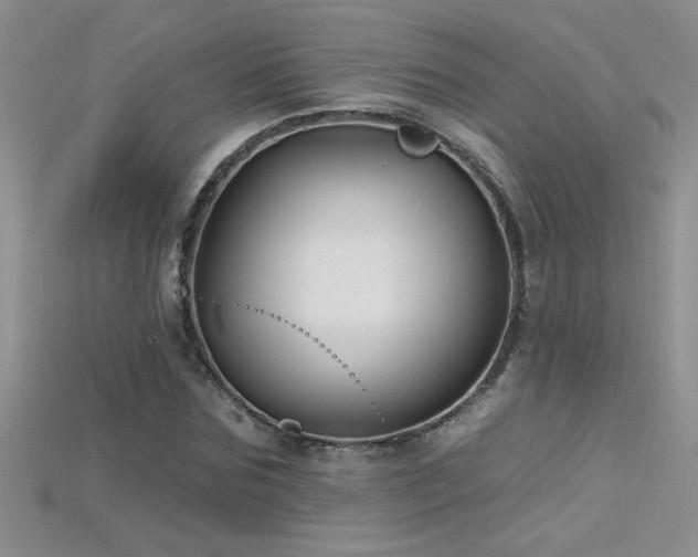 X0000115690875200911121305