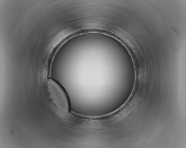 X0000115690877200911121305