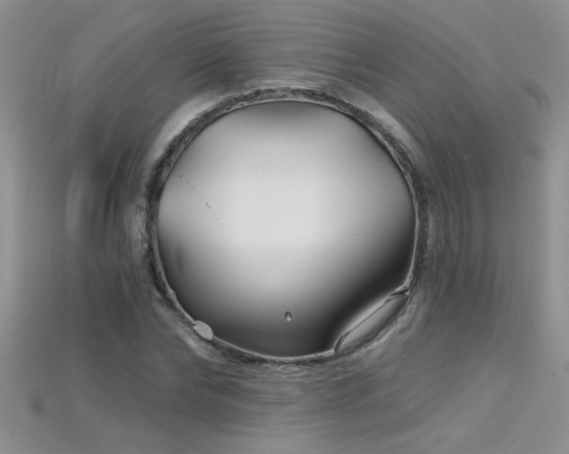 X0000115690878200911121305