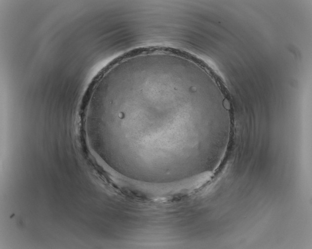 X0000115690879200911121305