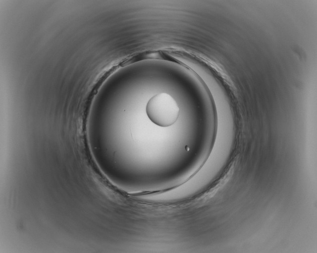 X0000115690881200911121305