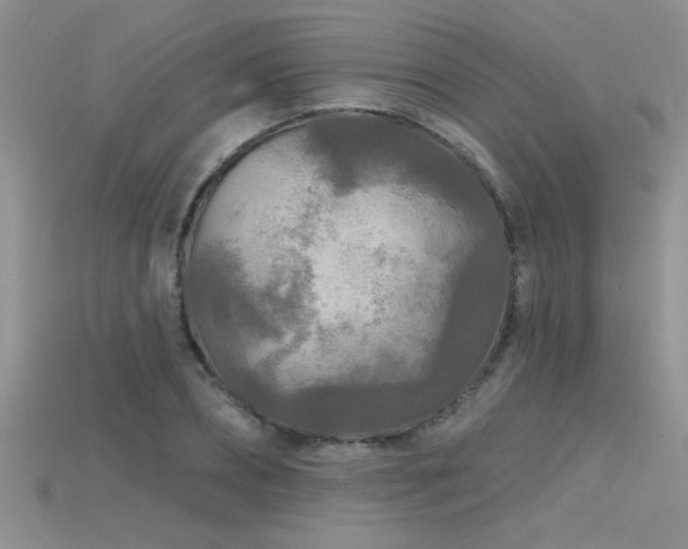 X0000115690882200911121305