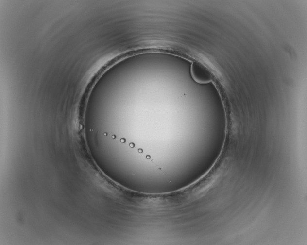 X0000115690883200911121305