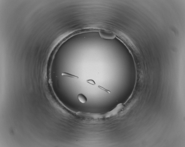X0000115690884200911121305