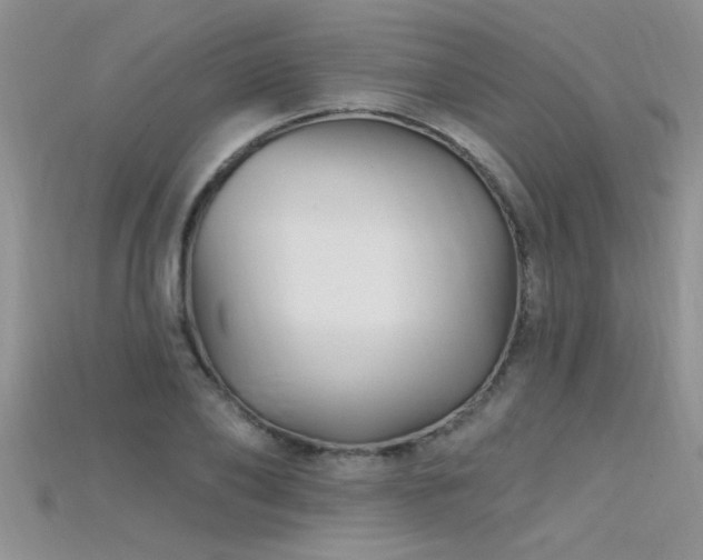 X0000115690886200911121305