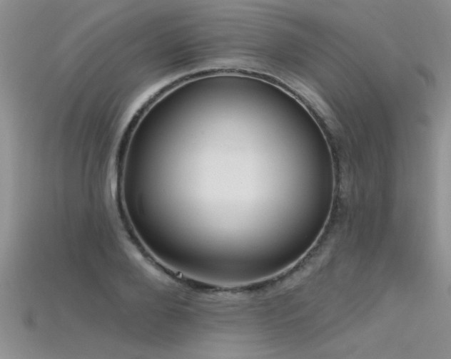 X0000115690888200911121305
