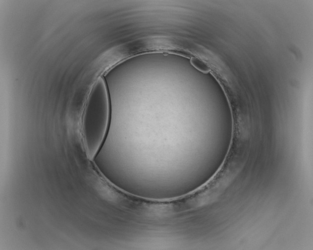 X0000115690889200911121305