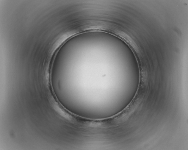 X0000115690890200911121305