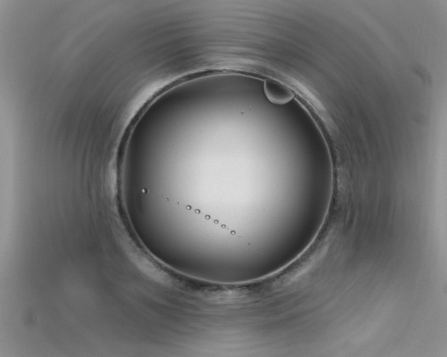 X0000115690891200911121305