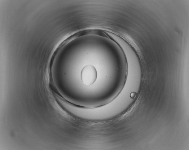 X0000115690892200911121305