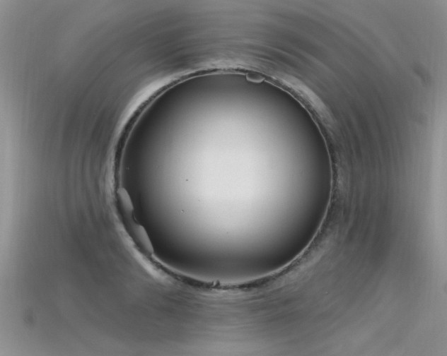 X0000115690894200911121305