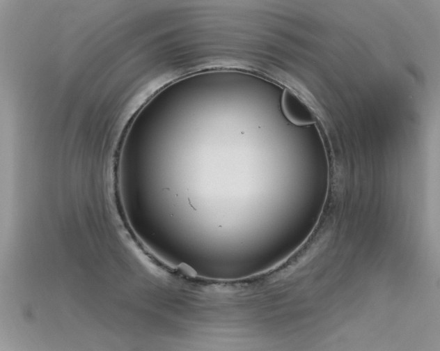 X0000115690898200911121305