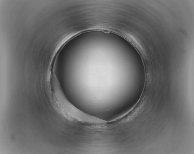 X0000115690900200911121305