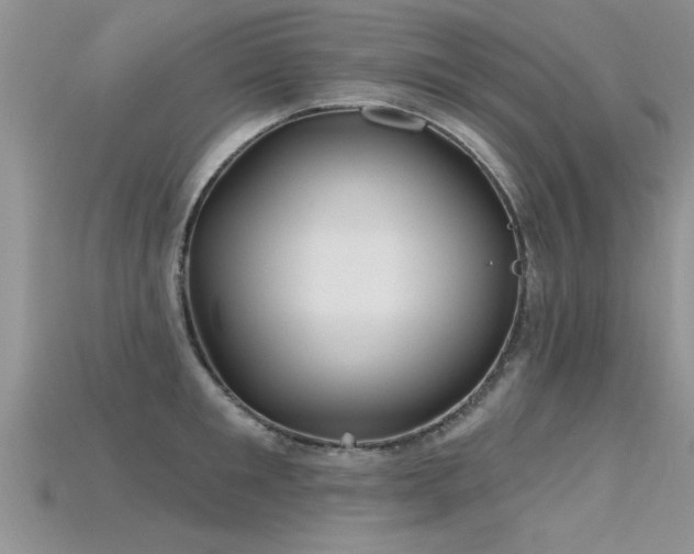 X0000115690901200911121305