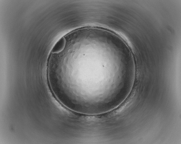 X0000115690903200911121305