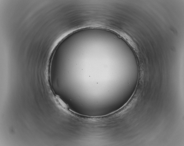 X0000115690904200911121305