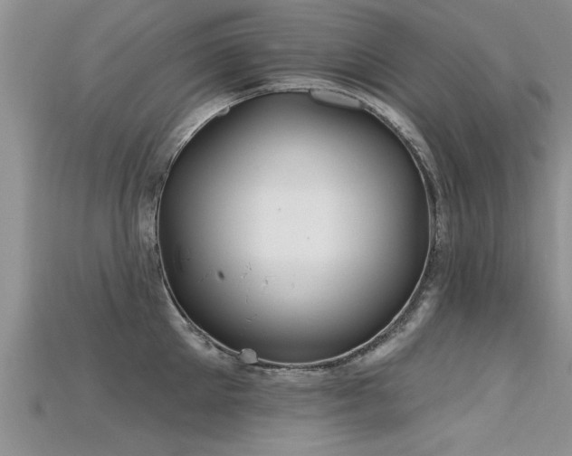X0000115690905200911121305