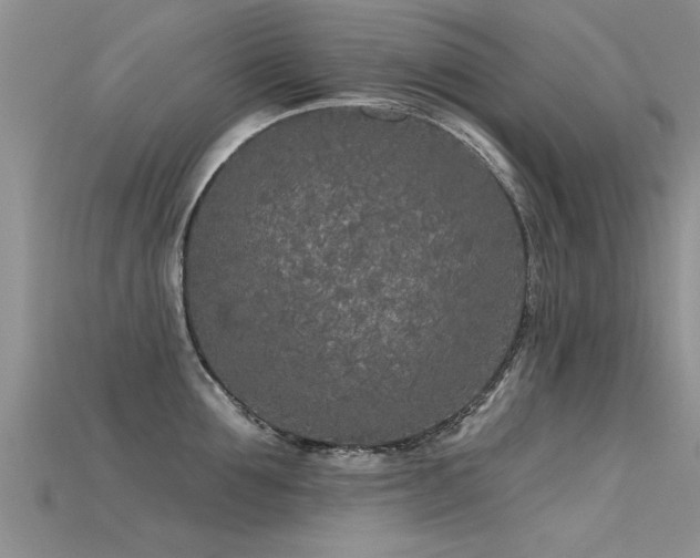 X0000115690907200911121305