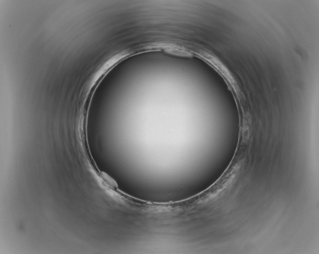 X0000115690909200911121305