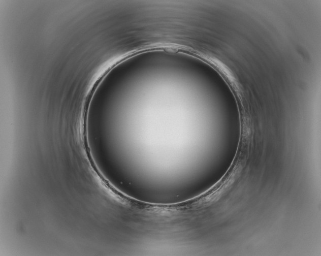 X0000115690910200911121305