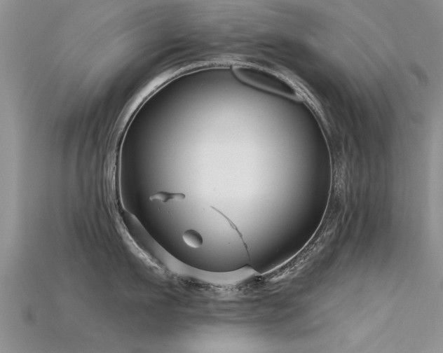 X0000115690911200911121305