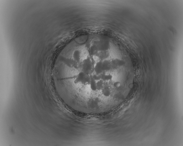 X0000115690913200911121304