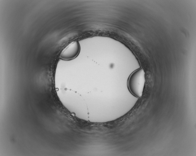 X0000115690918200911121304