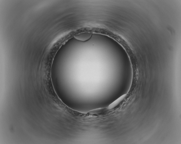 X0000115690919200911121304