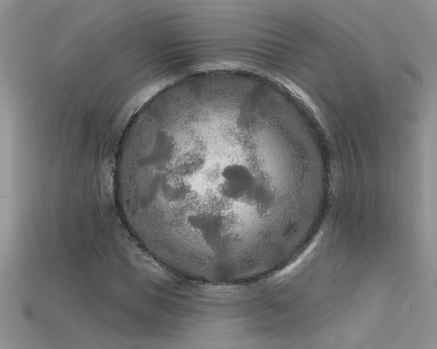 X0000115690921200911121304