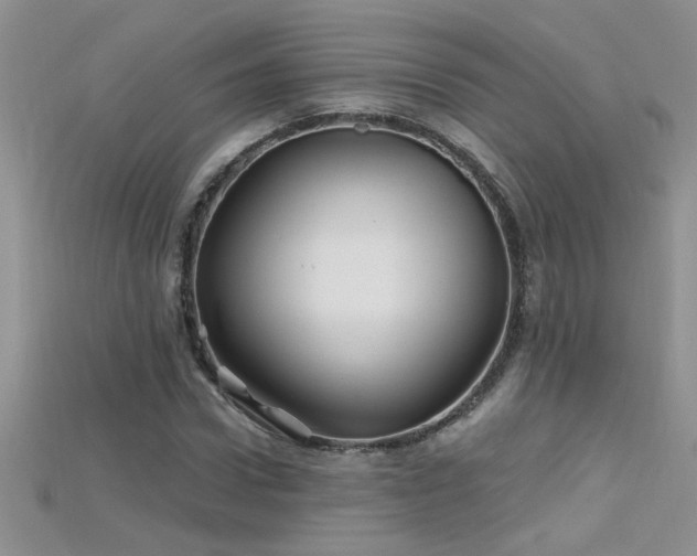 X0000115690922200911121304