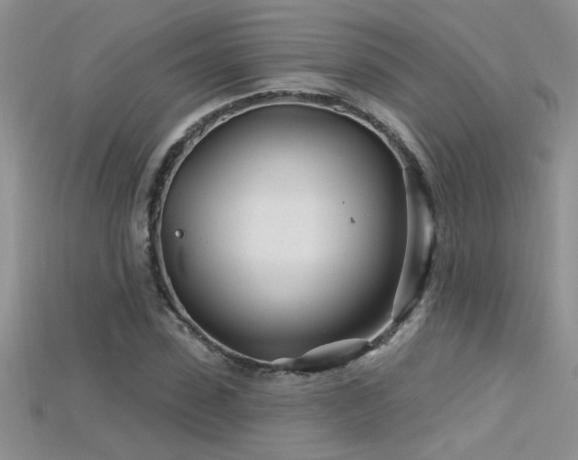 X0000115690923200911121304