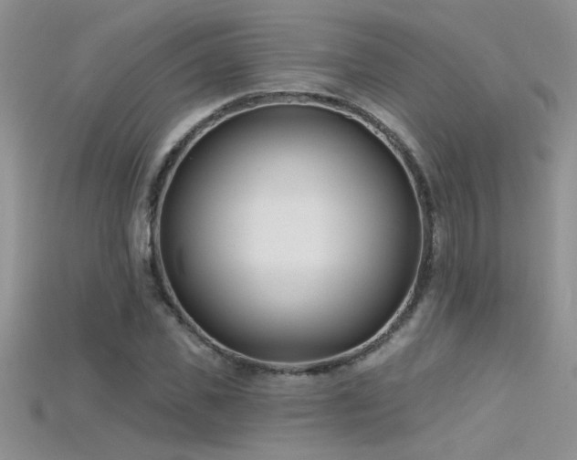 X0000115690925200911121304