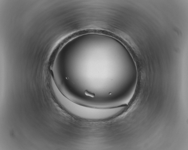 X0000115690926200911121304
