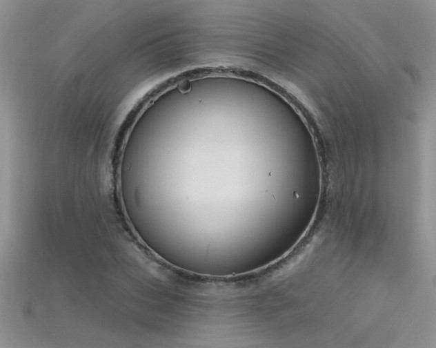 X0000115690927200911121304