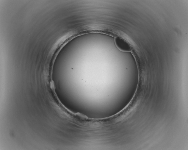 X0000115690930200911121305