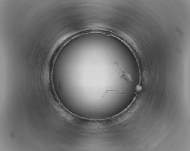 X0000115690931200911121305