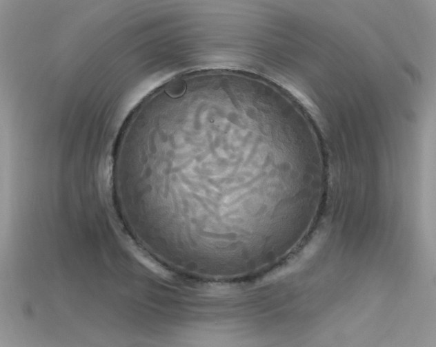 X0000115690933200911121305