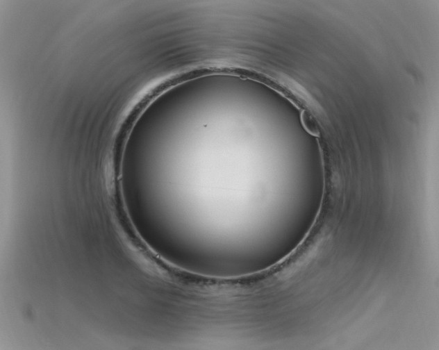 X0000115690934200911121305