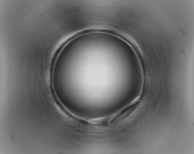 X0000115690935200911121305