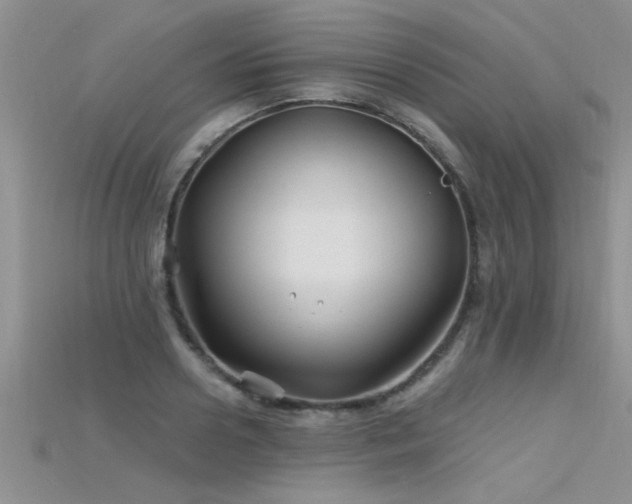 X0000115690938200911121305