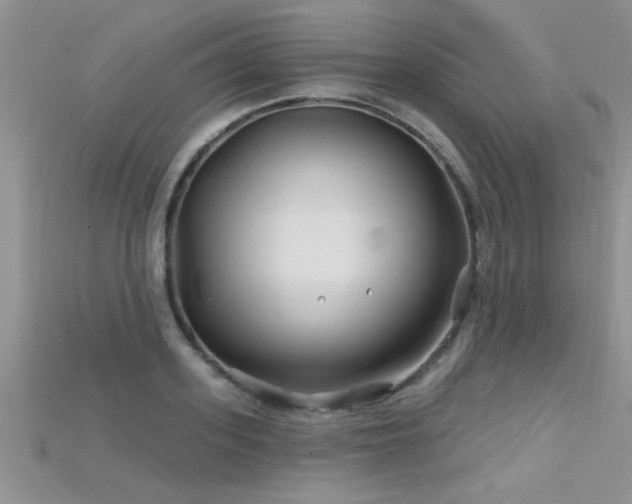 X0000115690939200911121305