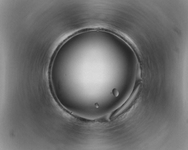X0000115690943200911121305
