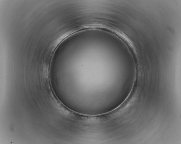 X0000115690945200911121305