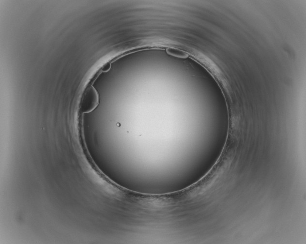 X0000115690947200911121305